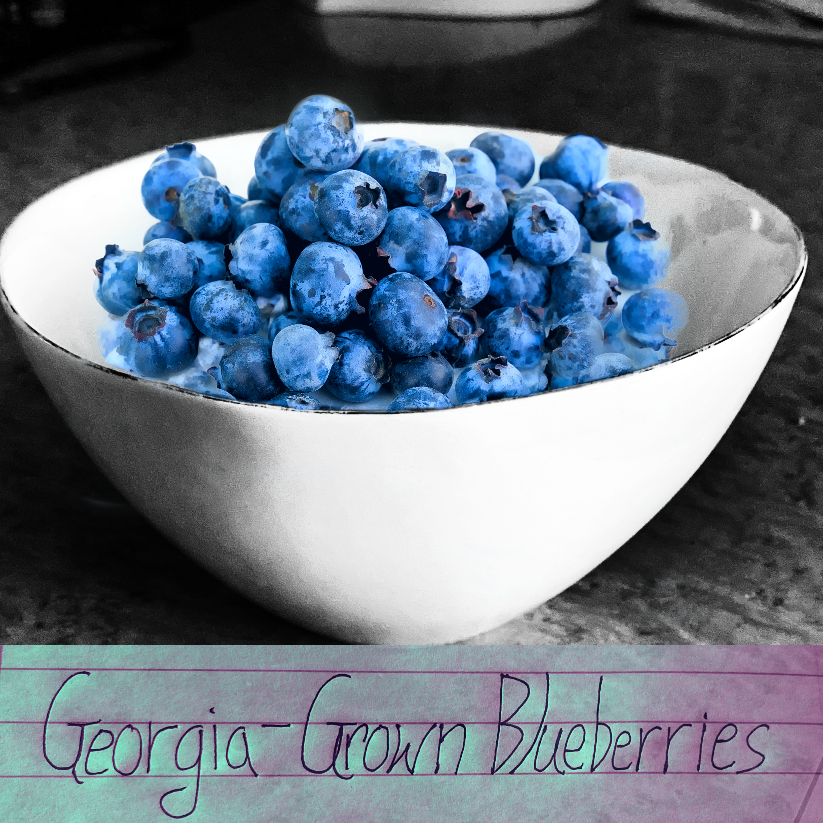 Georgia-Grown Blueberries Album Art